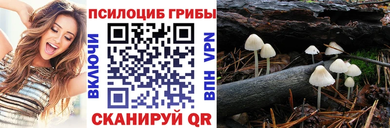 Псилоцибиновые грибы прущие грибы Заозёрск